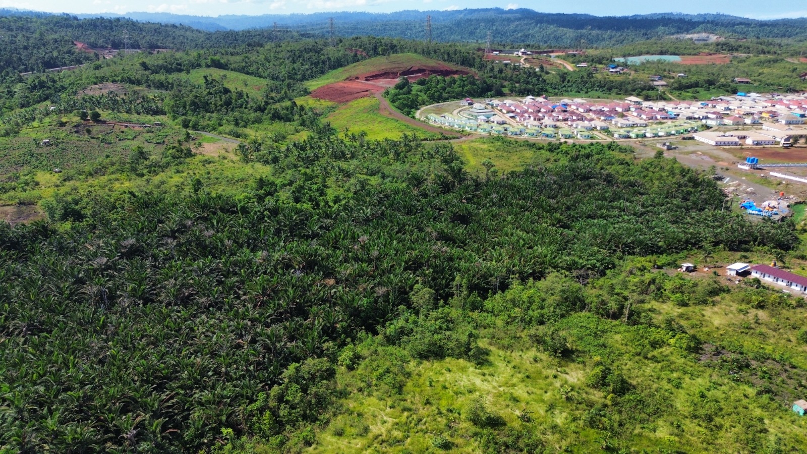 Aerial Konservasi Sagu