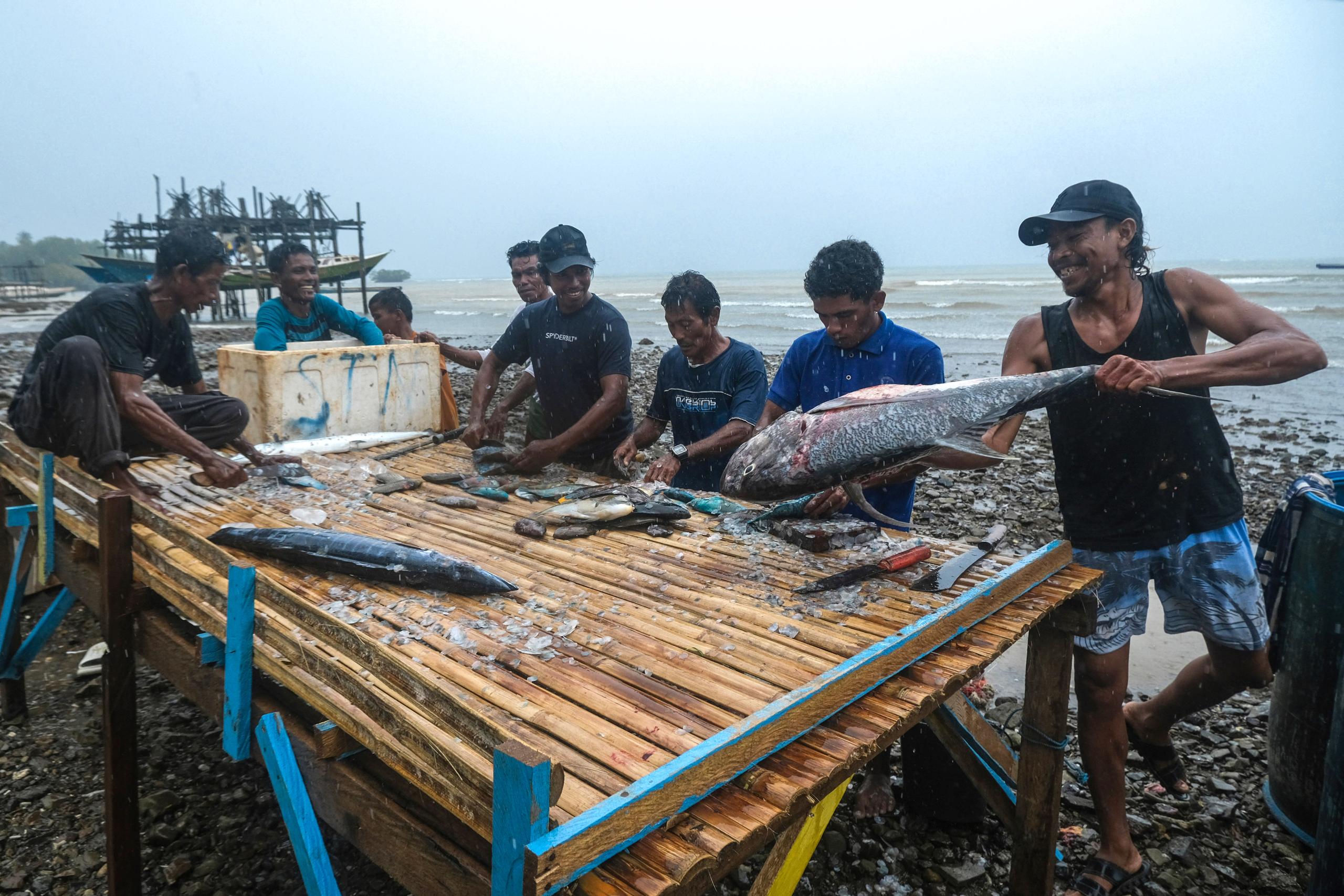 Fish Catch in Obi