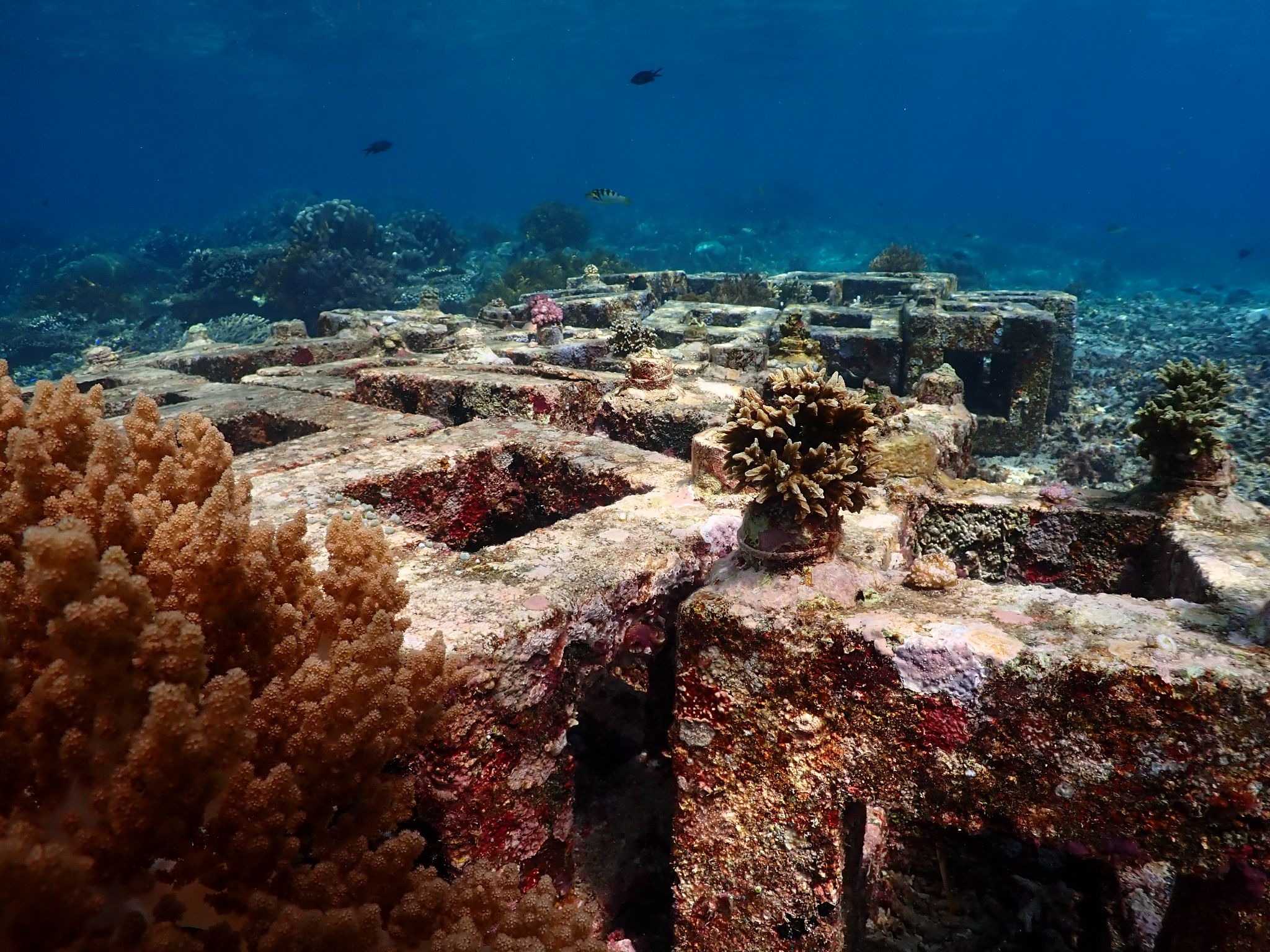 Perairan Laut di Obi