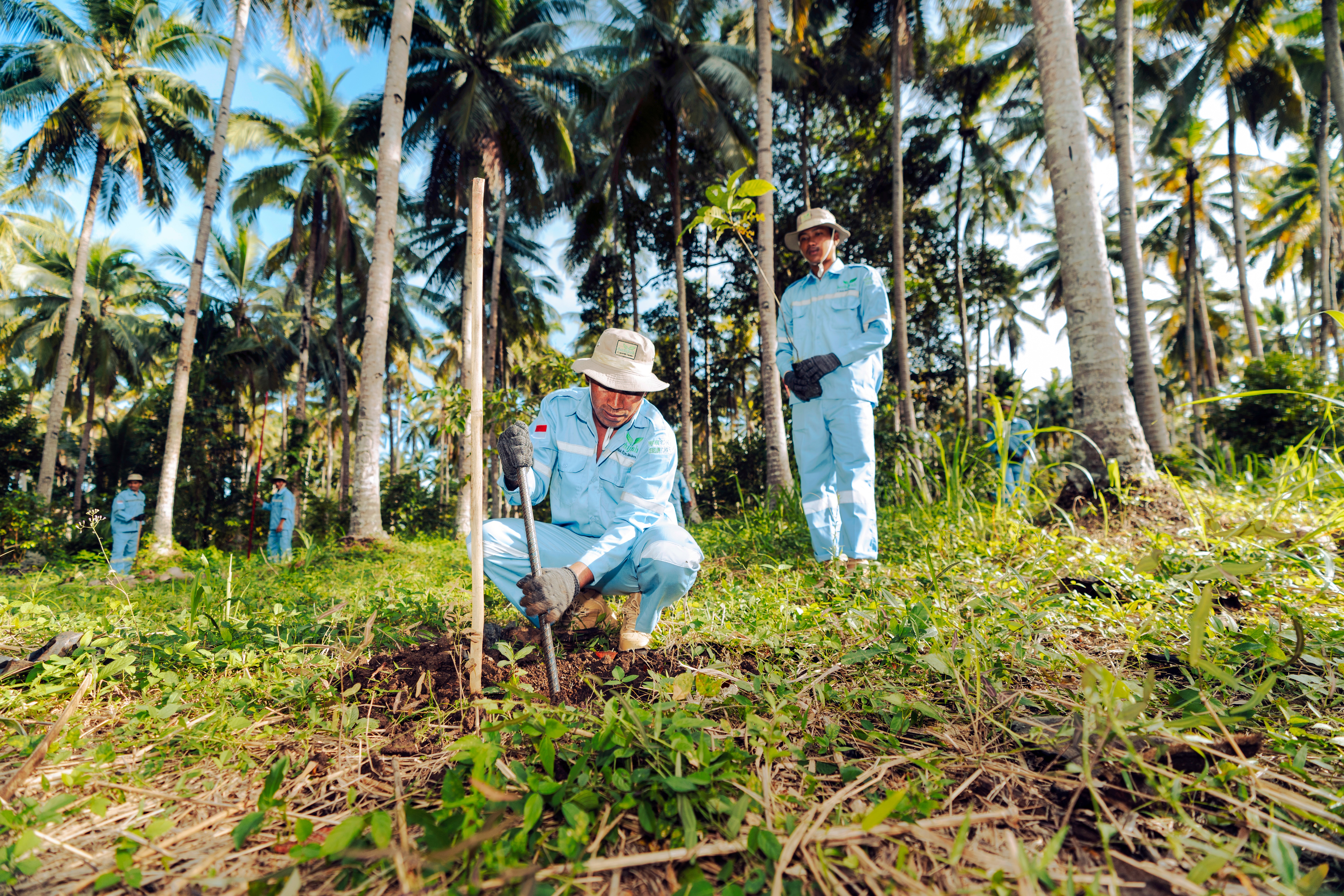 Rehab das kayoa lauin harita nickel 39b